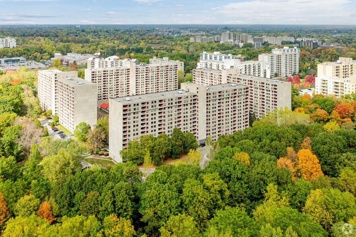 Contexte de Forest Hill - Forest Hill