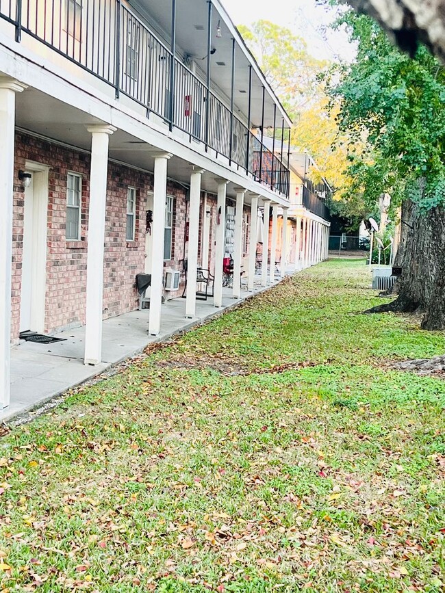 Interior Photo - Pied Piper