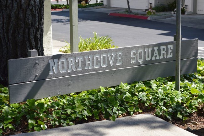 Foto del edificio - 20363 Northcove Sq Cupertino CA 95014