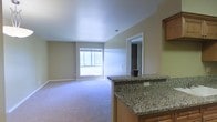 This single-floor space showcases an open-concept layout that seamlessly connects the kitchen and living areas. The kitchen features a granite countertop peninsula with warm wood cabinetry, providing both a functional workspace and a natural dividing point between the cooking and living zones. The peninsula includes a built-in outlet, adding practical utility to the space.

The living area is finished with plush carpeting and is bathed in natural light from a large window, creating a bright and welcoming atmosphere. Neutral-toned walls complement the overall design, lending a clean and versatile backdrop suitable for various décor styles.

A doorway visible from the main living space leads to what appears to be a bedroom, notable for its walk-in closet, offering generous storage. The smooth, white ceiling adds to the sense of openness throughout the space. Overall, the layout balances functionality and comfort, with thoughtful details such as the granite surfaces and natural light contributing to a polished, livable environment.