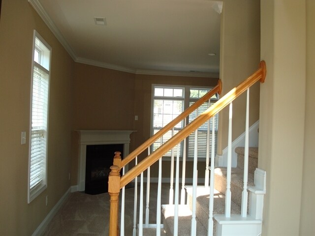 Building Photo - 10415 Cobbler Patch Court