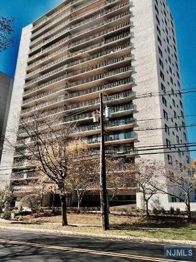 Building Photo - 277 Prospect Ave N