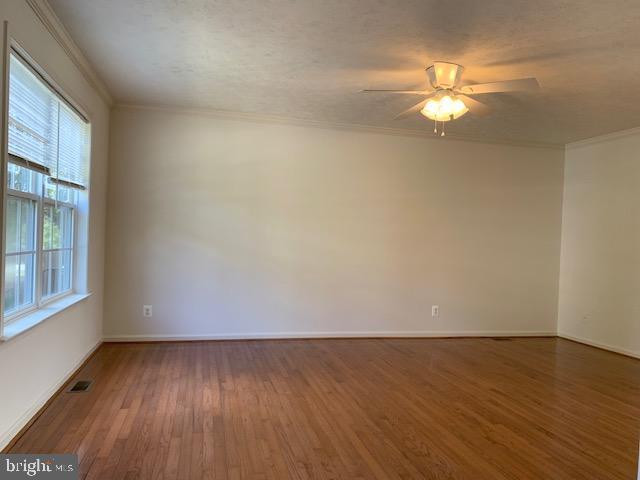 Primary Photo - 207 Regina Ln