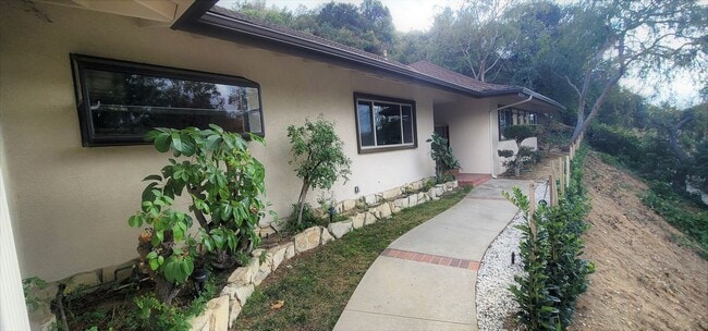 Building Photo - Classic, Midcentury 3 bedroom with Den, 2.5 bath home nestled into hillside with secluded backyar...