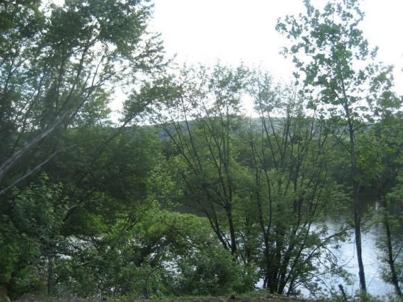 Foto del edificio - 607 W Chenango St