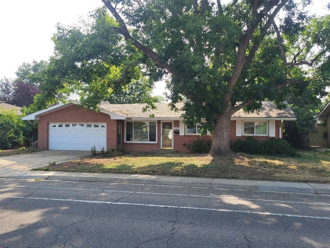 Foto principal - 1827 Collyer St