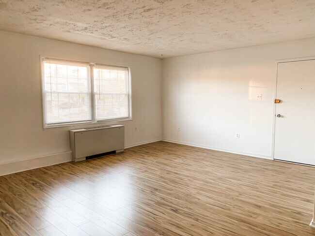 Living Area/Entry - 4507 Romlon St Apartment