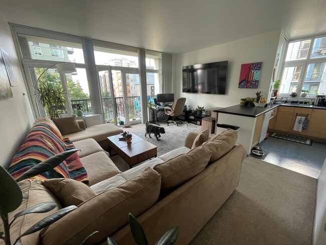 Big open living room - 2717 Western Ave