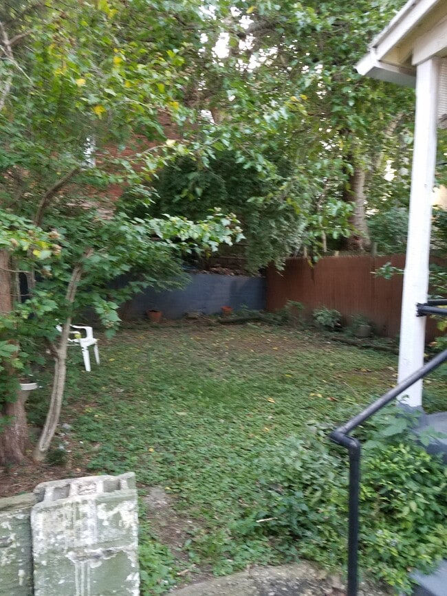 Fenced Back Yard - 227 Fosdick St