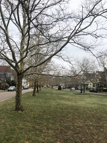 Foto del edificio - 45 Wellesley Park