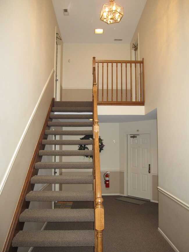 Building Photo - 2810 Meadow Ln