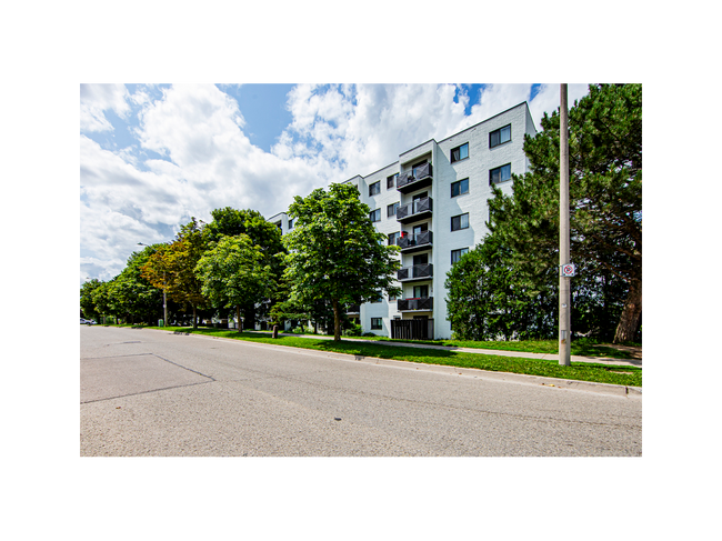 Cheap Apartments Condos And Houses For Rent In Kitchener ON 150 