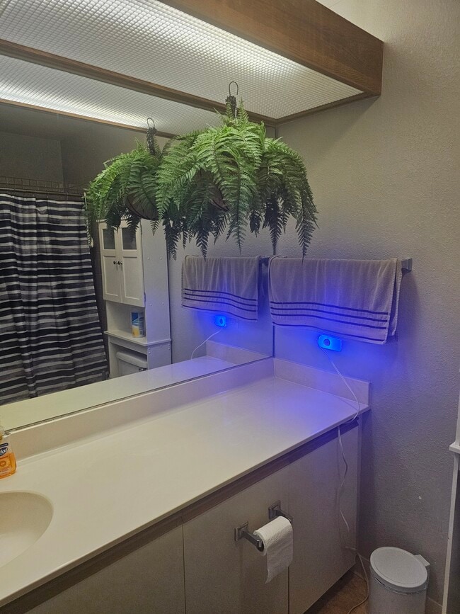 Foto del edificio - 46-051 Konohiki St