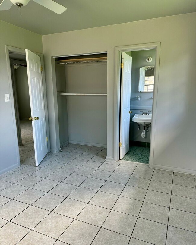 Foto del edificio - South Tampa Rental