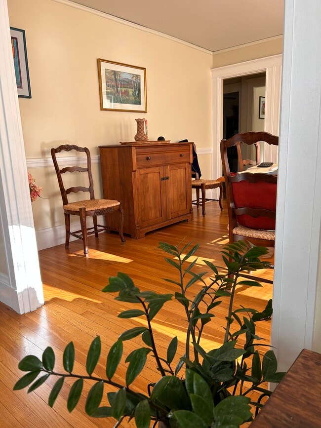 Building Photo - 224 Albion St