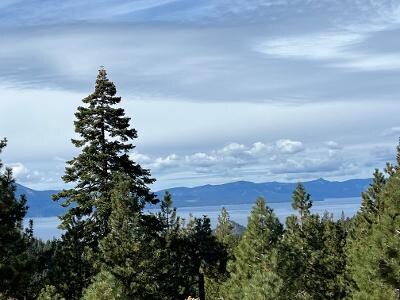 Foto del edificio - 313 Tramway Dr