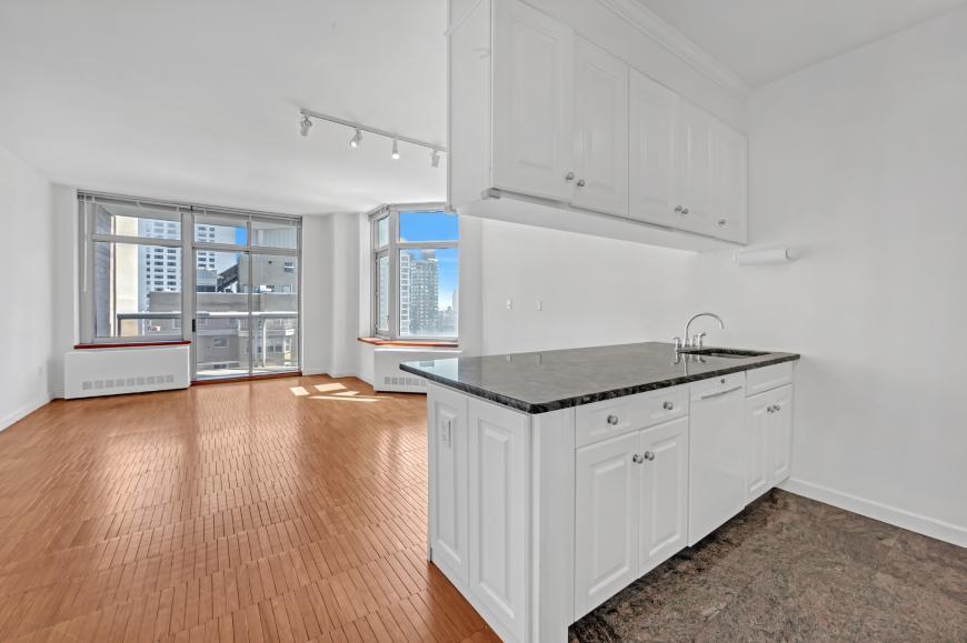 Primary Photo - 1 bedroom in New York NY 10065