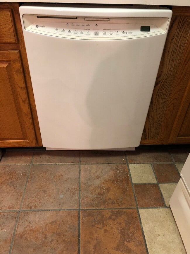 Dishwasher - 12 Poplar St