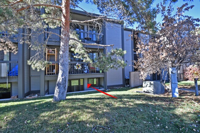 Unit 104 - 1525 Park Ave