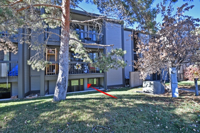 Unit 104 - 1525 Park Ave