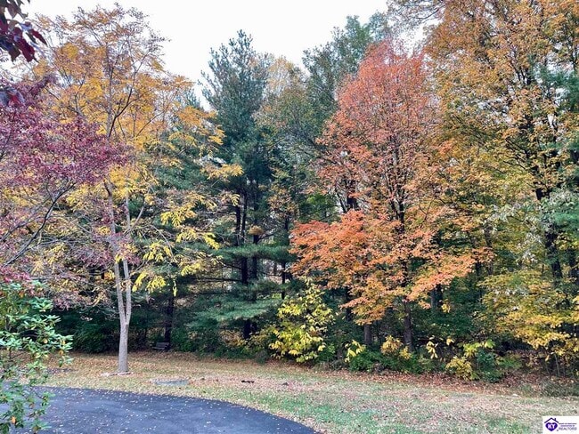 Building Photo - 913 Dogwood Cir