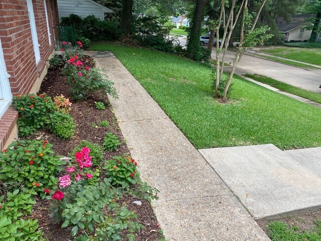Building Photo - South Highlands Move-In Ready Home for Lea...
