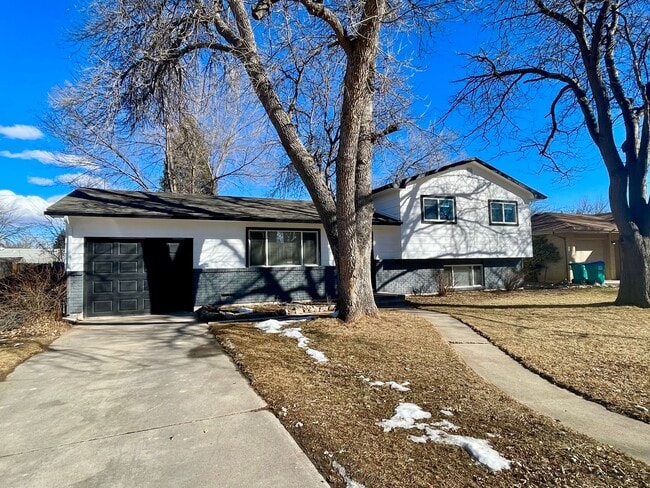 Building Photo - Newly Renovated 4 Bed 2 Bath House Near CSU!