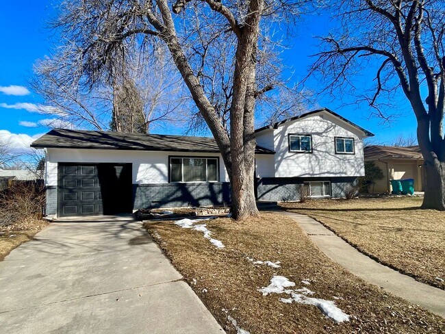 Foto del edificio - Newly Renovated 4 Bed 2 Bath House Near CSU!