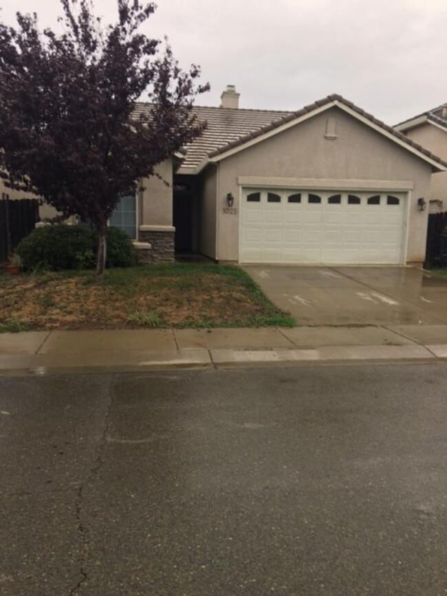 Building Photo - 1025 Martin Ct