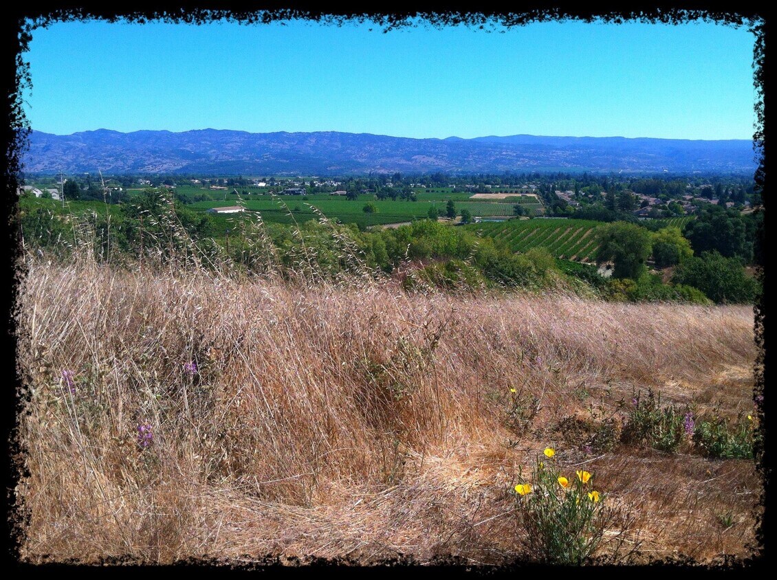 228 Ranch Ln, Napa, CA 94558 House Rental in Napa, CA