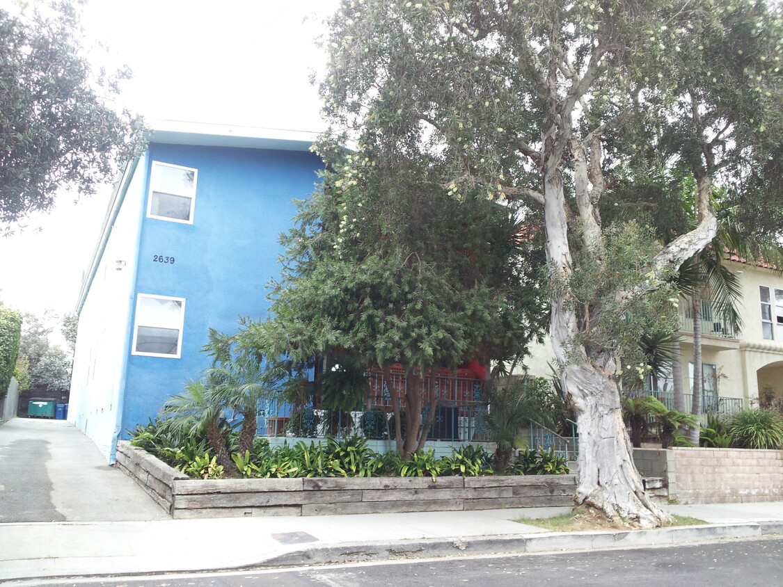Primary Photo - 2639 6th St