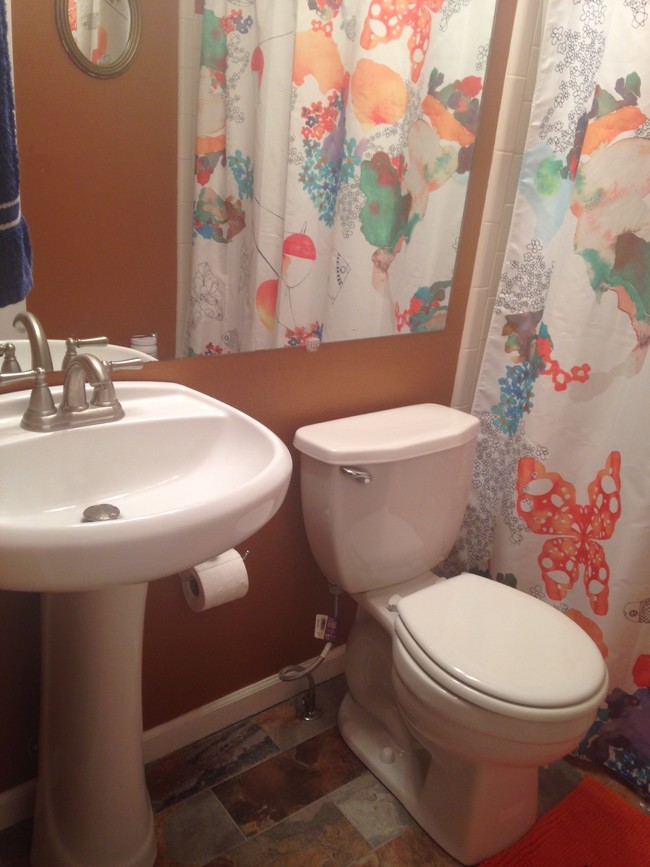 guest bath - 1079 S Walden Way