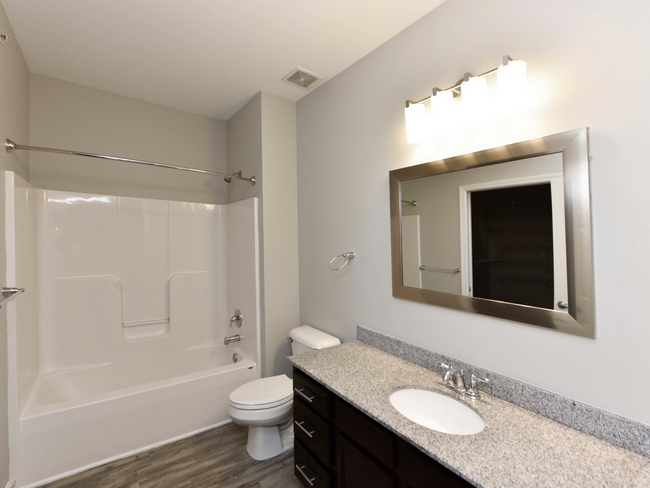 Bathroom + Granite Counters - The Woods