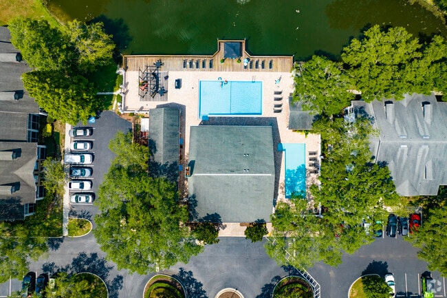 Main Pool - The Brady at Tampa Palms