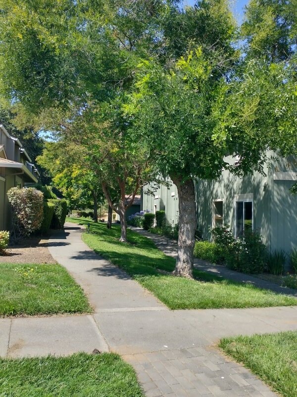 Building Photo - 118 Oliva Ct