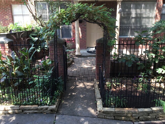 Grapevine arbor that produces grapes - 1103 Dulles Ave