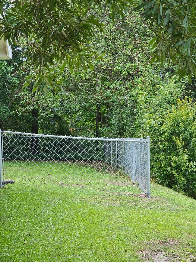 Fenced backyard - 419 Rams Rd