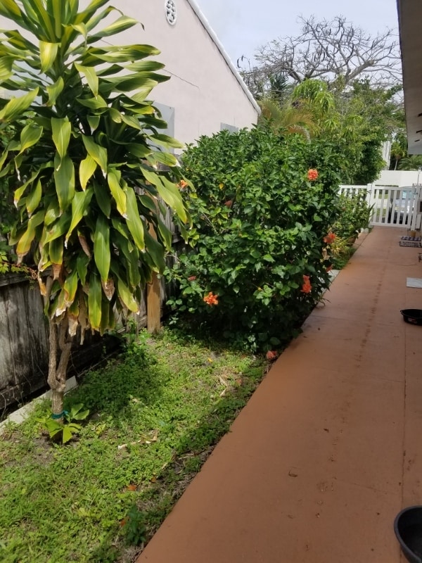 Foto del edificio - 1408 NE 6th St