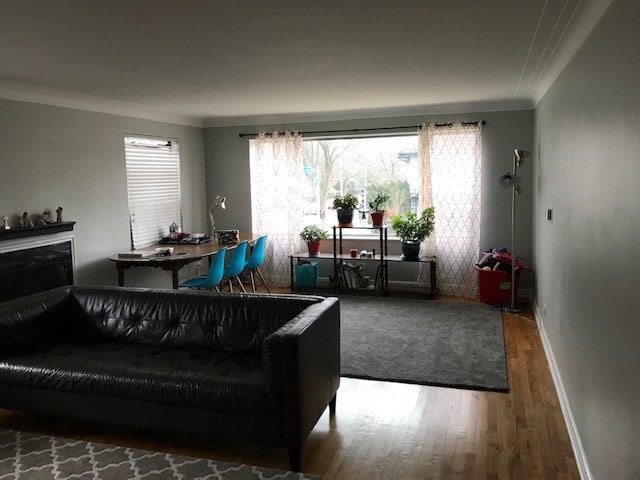 Living room 2nd view - 435 N Oak Park Ave