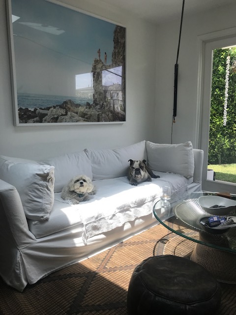 living room - 2620 21st St