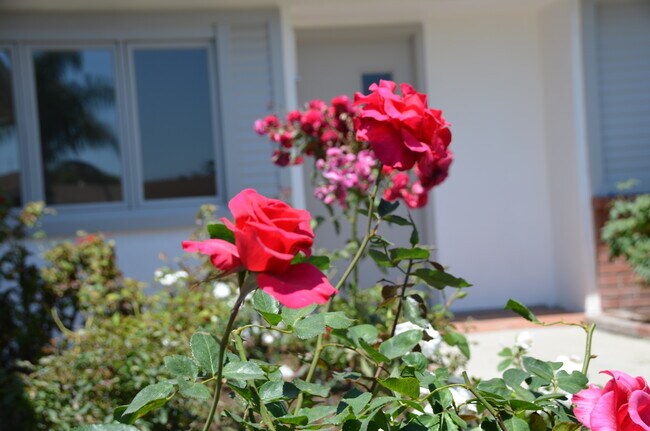 Building Photo - 6204 Avenida Ganso