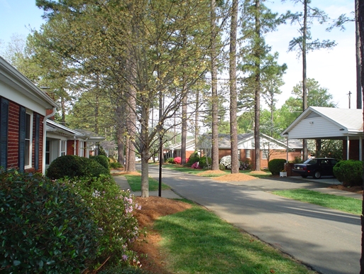Primary Photo - Towering Pines Apartments