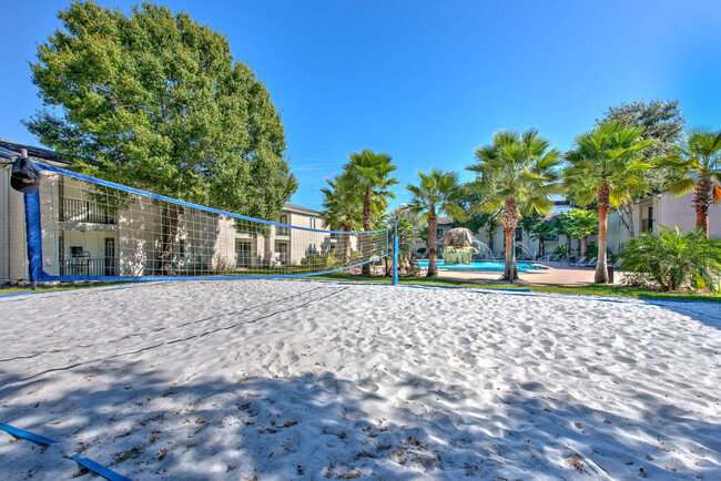 Volleyball Court - *Campus Palms Apartments- USF STUDENT LIVING*