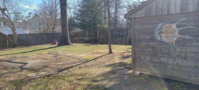 Gorgeous fenced backyard-shared - 425 Ellerslie Ave