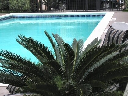Piscina - Mimosa Lane Apartments