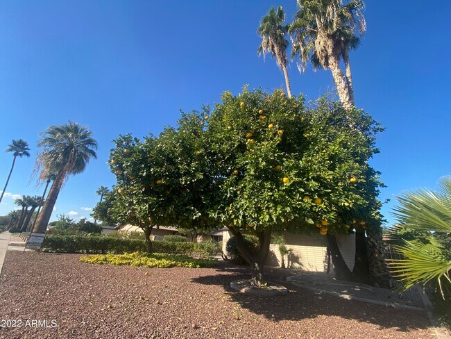 Foto del edificio - 506 Sagebrush St