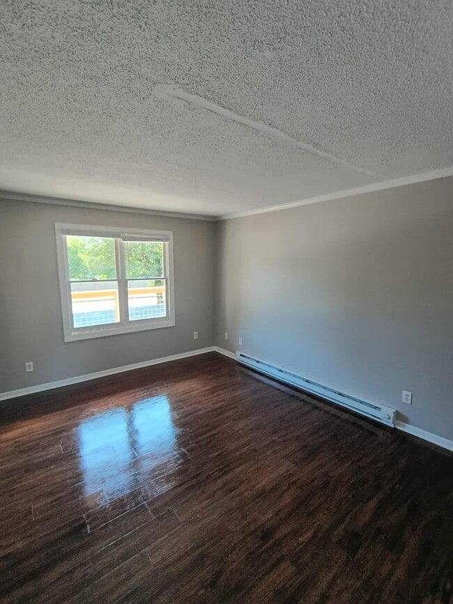 Building Photo - 2 Bedroom / 1 Bath Apartment  Johnson City...