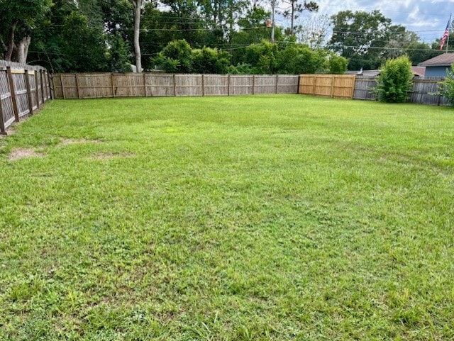 Back Yard - 320 E 5th St