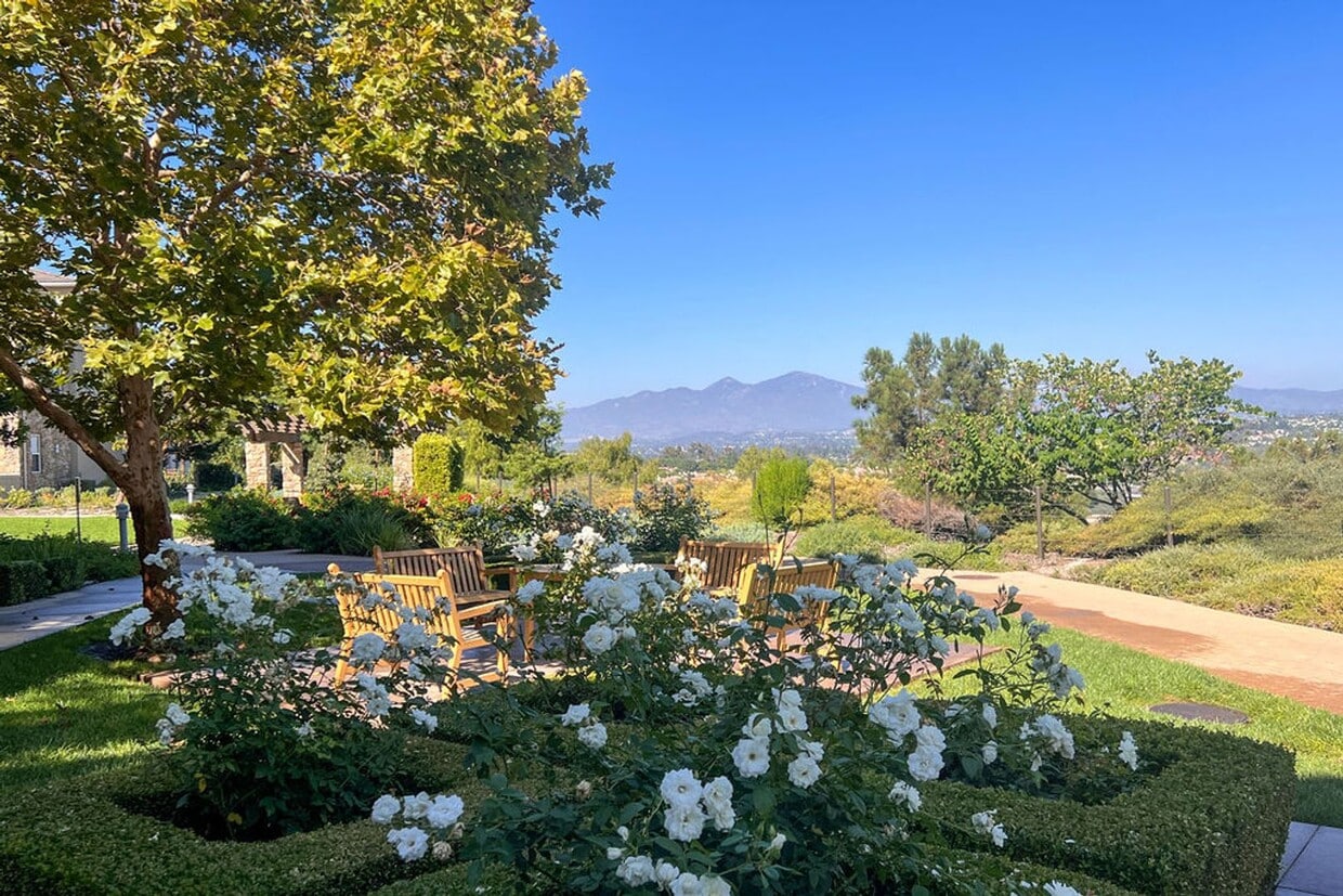 Primary Photo - Entertainers Delight in Aliso Viejo!