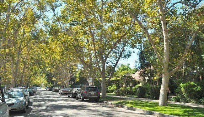 Foto del edificio - 12249 Cantura St